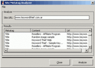 Site Metatag Analyzer screenshot